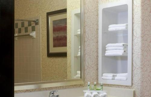 Holiday Inn Express Hotel and Suites Brownsville, an IHG Hotel