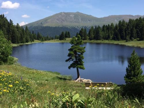 Apparthotel Silbersee - image 14