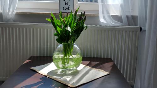 Polhouse Apartamenty