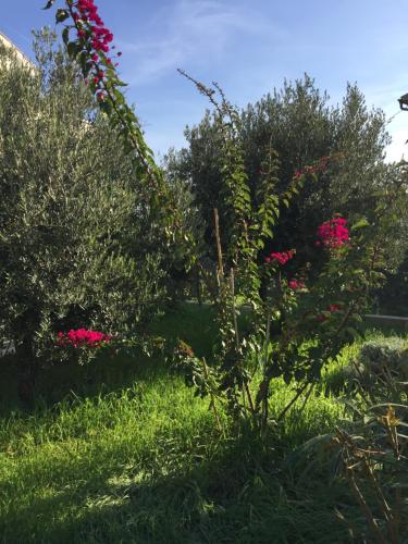 Apartments Villa Tribunj - image 6