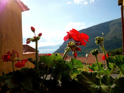 

RelaxMaratea