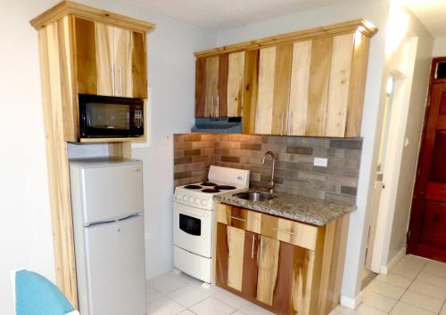 Beach Studio 4, Ocho Rios (zdjęcie 11)