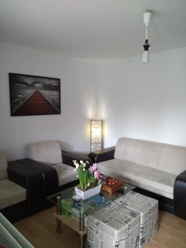  Budapest Beyoung in Budapest