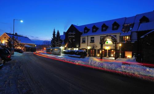 Park Hotel Pruhonice - image 8