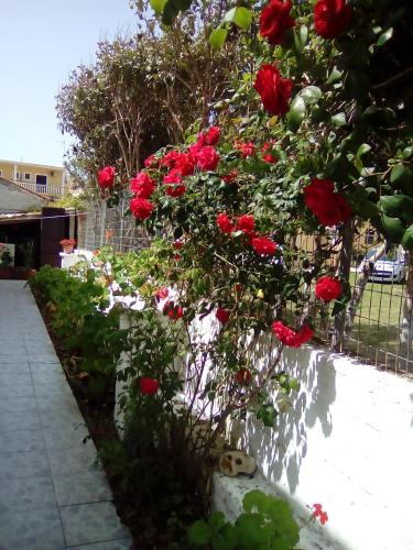  Tony's Apartments in Agios Georgios