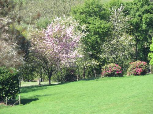 Kilna BnB - image 14