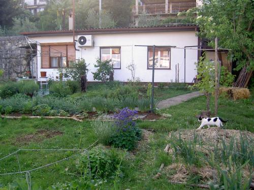 Apartman Thea