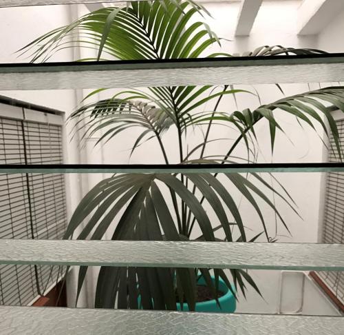 Hostal Carlos III - image 8