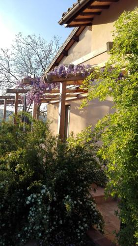 B&B Antegiano 5