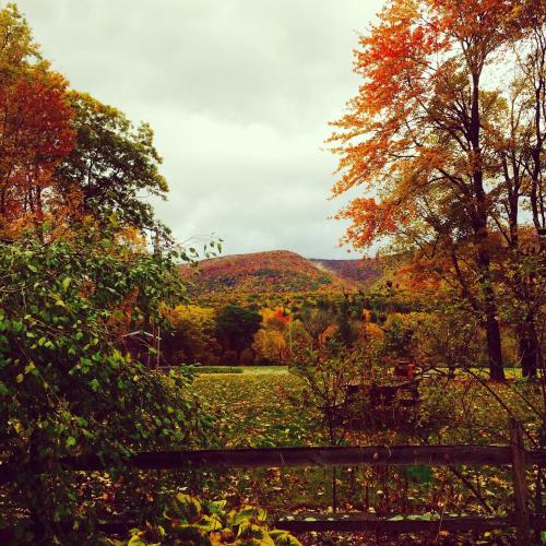 Aerie Inn of Vermont - 전망