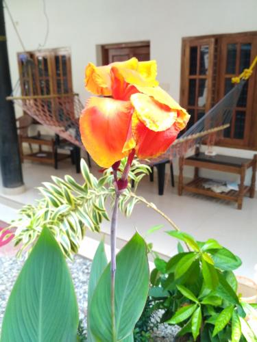 Kaithakuzhi Home Stay