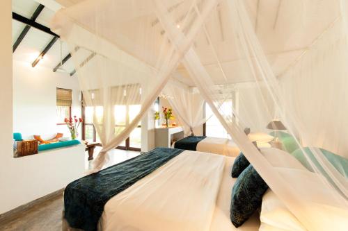 1 king bed, 1 queen bed