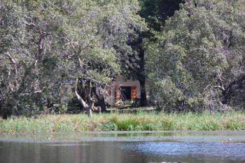 Caprivi Mutoya Lodge and Campsite