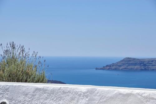 Nautilus Villa - image 6