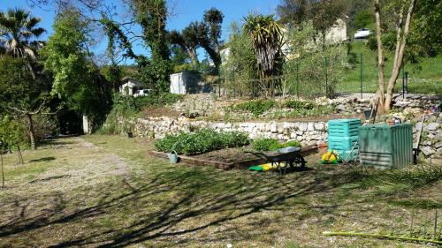 Le Clos du Loup - image 5