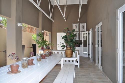 Patogumai, The Calitz in Calitzdorp