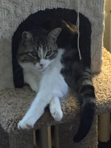 Bernard Gray Hall Bed and Breakfast in Niagara On The Lake (ON)