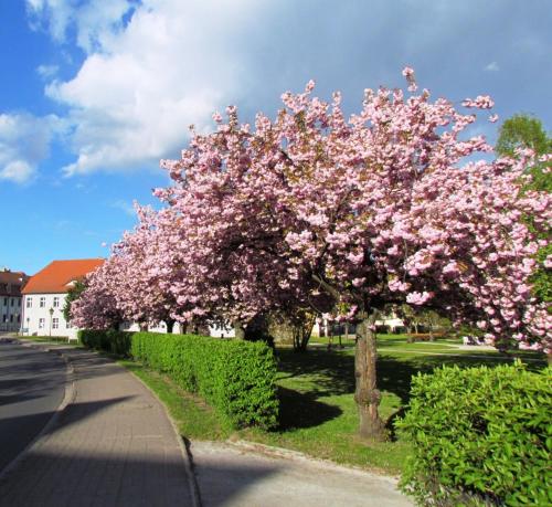 Kastanienhof Lübben