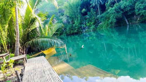 Garden, Water to Forest Ecolodge in Loboc