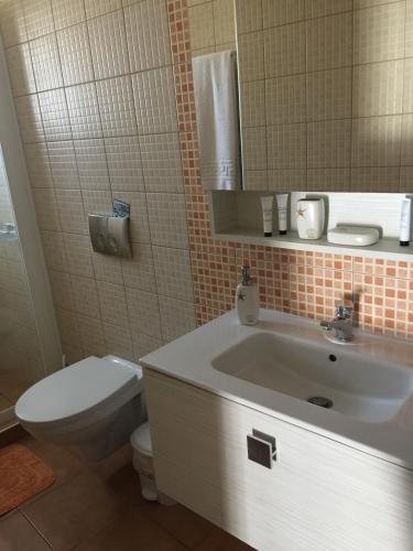 Summer Knights - image 13