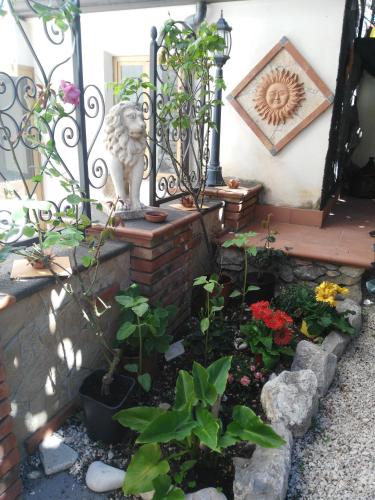 Giardino Del Sole - image 12