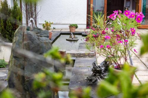 Ael y Bryn Luxury B&B, North Pembrokeshire