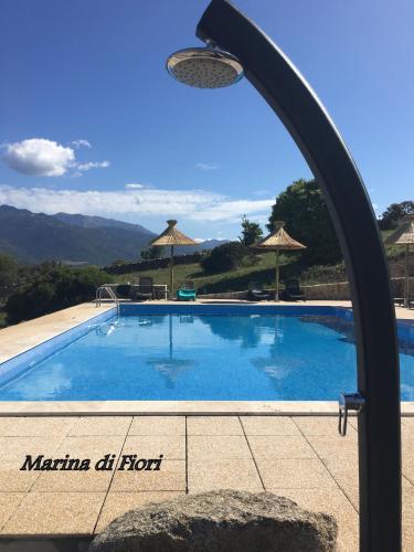 Marina di fiori 2