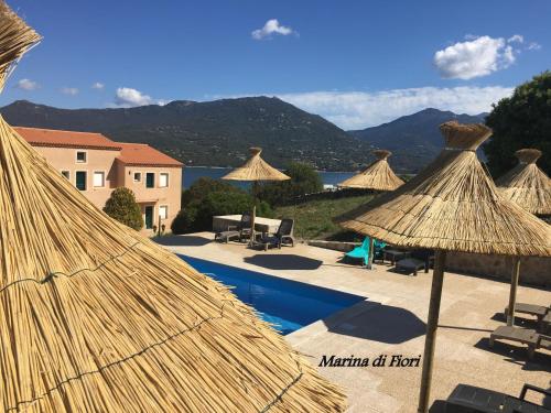 Marina di fiori - image 7