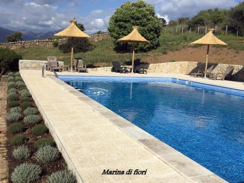 Marina di fiori - image 2