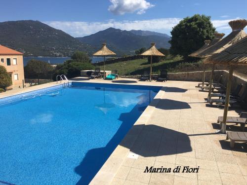 Marina di fiori - image 12