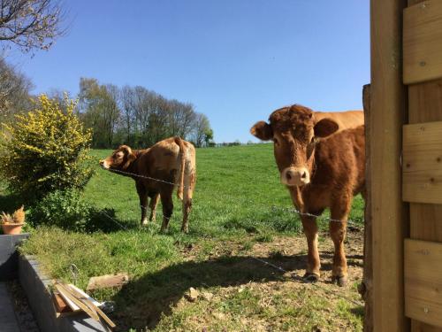 Vakantiewoning Kleijnen