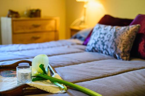  La Casa Antollosdocesar in Baralla