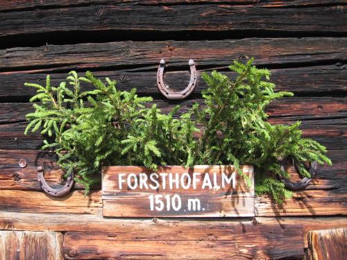 Pension Forsthof - image 10