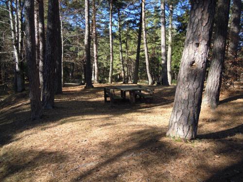  Residence Selva Dei Pini in Lama Mocogno