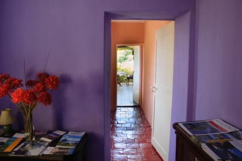 Chez Marianne - image 5