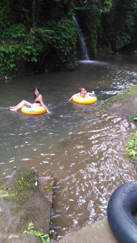 Bali Jungle Resort