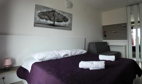 Apartments Silvija - main image