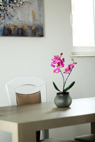 Apartments Silvija - image 13