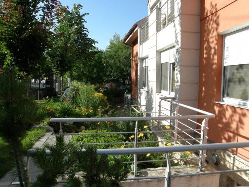 Promedicum Panzio - image 12