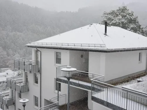 Modernes Apartment mit Zentralheizung in Willingen in Willingen, Deutschland
