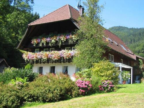 Viesnīcas āriene, Haus Schneider in Gutach (Schwarzwaldbahn)