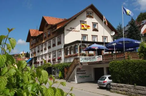 Ferienwohnungen Rebstock in Schonach, Deutschland