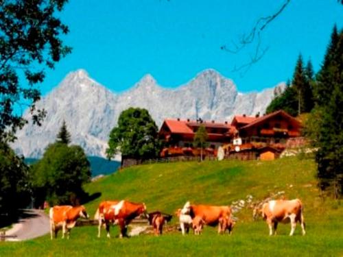 Strickhof, Schladming (fotografie 7)