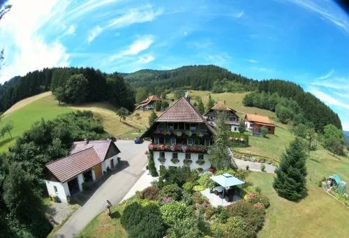 Haus Schneider in Gutach, Deutschland