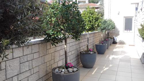 Anemolia Resort and Spa