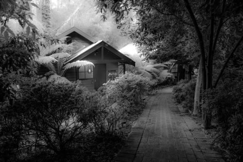 A szálláshely kívülről, Belle Le Vie in Ferny Creek