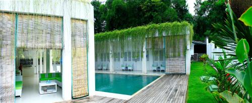 Villa Putih Lovina - Tap to explore photos