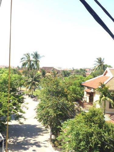 Sao Mai photo