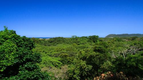 St Lucia Eco Lodge