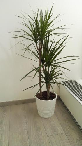 Alfa Panorama Brno - Apartment